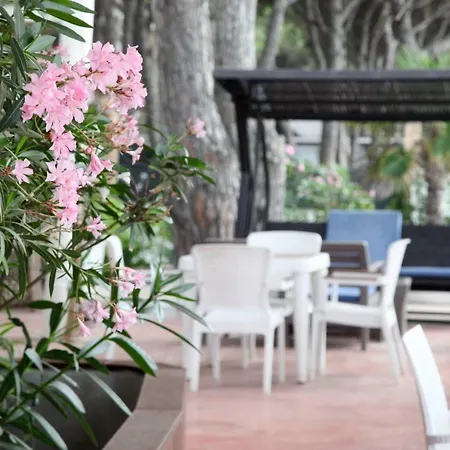 Fafa Hotel 4*